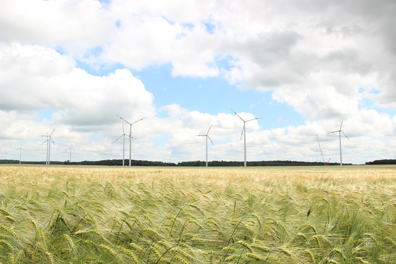 The Correlation between Green Energy and Financial Performance